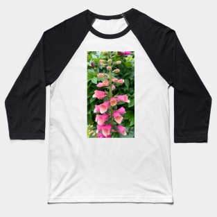 Perennial Pink Foxglove Flower Baseball T-Shirt